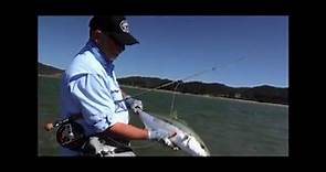 Fly Fishing for Kingfish New Zealand - PROMO