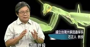 螳螂捕獵速度 僅0.04秒-民視新聞