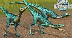 COMPSOGNATHUS NUEVO DINOSAURIO GANA TODAS LAS BATALLAS! dinosaurio inmortal Jurassic World El Juego