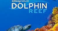 Disneynature: Dolphin Reef