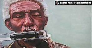 Blues Harmonica 4 - A two hour long compilation(240P).mp4