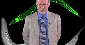 H. Robert Horvitz (MIT/HHMI): Discovering Programmed Cell Death