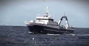 South African Deep Sea Trawl Fishery and MSC