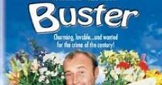 Buster: el robo del siglo (1988) Online - Película Completa en Español - FULLTV
