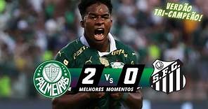 VERDÃO CAMPEÃO! Palmeiras 2 x 0 Santos | Melhores Momentos (COMPLETO) | FINAL PAULISTÃO 2024