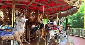 Carousel Ride | Singapore Zoo