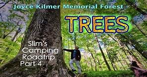 The Trees of Joyce Kilmer: Slim's Camping Roadtrip Part 4