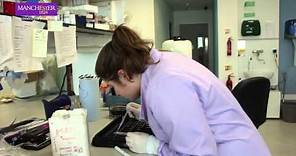 BSc courses: Biomedical Sciences at The University of Manchester