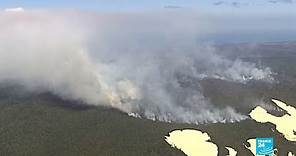 Isla Fraser de Australia, patrimonio mundial, en peligro por las llamas
