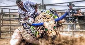 10 Most Dangerous Bulls of Rodeo History