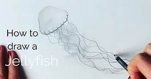 Beginners - how to draw a jellyfish