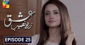 Ishq Zahe Naseeb Episode 25 HUM TV Drama 13 December 2019