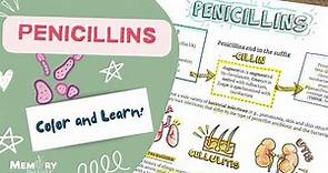 Penicillin Antibiotics Made Easy (Mnemonics, Mechanism of Action, Side Effects, Counseling Points)