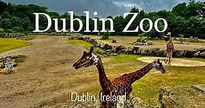Dublin Zoo | Dublin | Ireland