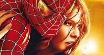 Spider-Man 2 - film: dove guardare streaming online