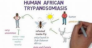 Sleeping Sickness - an introduction to African Trypanosomiasis