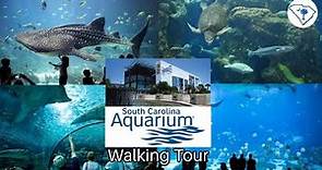 South Carolina Aquarium Tour | Aquarium Walkthrough | Charleston SC