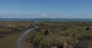 Leadbetter Point State Park -Washington State, USA