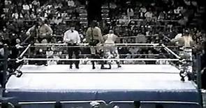 Demolition Smash & Crush vs the Bushwackers WWF PTW 1990.mpg