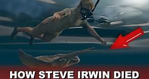 Steve Irwin Death Video (Footage Recreation)