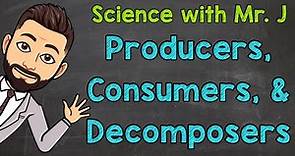 Producers, Consumers, and Decomposers | Ecosystems