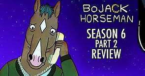 BoJack Horseman Season 6 is a PERFECT Ending (Final Review)