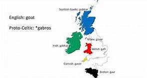 Celtic Languages | Word Comparison