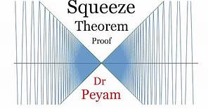 How do you prove it? The Squeeze Theorem