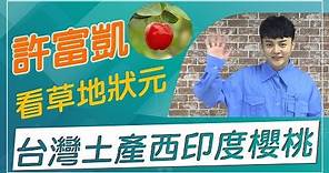 【草地狀元經典重現】台灣也有產櫻桃，西印度櫻桃你有吃過嗎！？跟著台語小天王許富凱一起來看草地狀元！