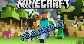 Minecraft PC Online Gameplay (HD)