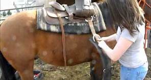 How to western saddle your horse