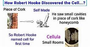 Robert Hooke's discovery of cell | How Robert Hooke discovered the cell...?