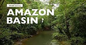 What is the Amazon Basin?