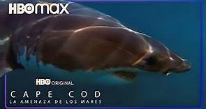 Cabo Cod: la amenaza de los mares | Trailer Oficial | HBO Max