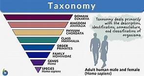 Taxonomy - Definition, Examples, Classification - Biology Online Dictionary