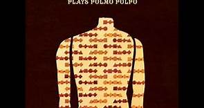 Sandro Perri plays Polmo Polpo - Requiem for a fox