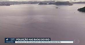 Vazamento de óleo provoca mancha na Baía de Guanabara