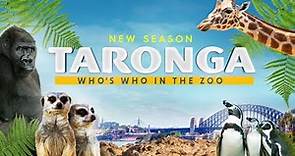 Taronga: Who's Who in the Zoo season 4 promo!