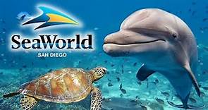 SeaWorld San Diego 2024 Guide - Top Tips, Rides, Shows & Exhibits!