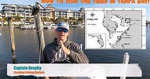 How To Fish The Tides In Tampa Bay