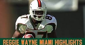 Reggie Wayne Miami Highlights