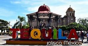 QUE HACER EN TEQUILA | Un día común, de visita en este Pueblo Mágico de Jalisco