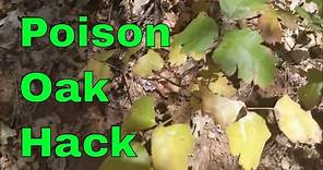 Poison Oak Identification, Prevention, and Treatment