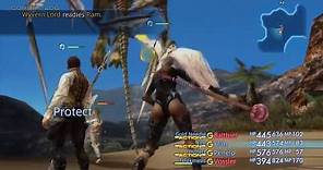 Final Fantasy XII: The Zodiac Age - All 45 Hunts