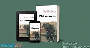 L’assommoir - Émile Zola - Chapitre 07