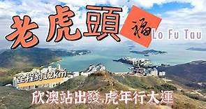 20220122 虎年行大運，欣澳站上老虎頭再落愉景灣，帶你怎樣看老虎頭，"在老虎頭上釘蝨乸" ，行走山脊與山坳之間，令人遊走於歐洲山野之間。(欣澳站-大山-犂壁山-大輋峒-榴花峒-老虎頭-愉景灣)