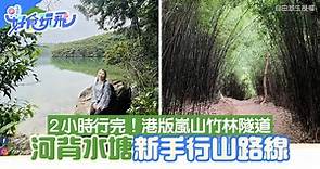 河背水塘行山｜漫步竹林隧道S型水壩　輕鬆易行圍繞水塘一圈