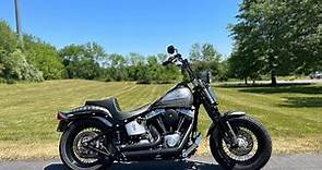 2008 Harley-Davidson Softail Crossbones Cross Bones Springer Custom Paint FLSTSB w/ Extras!! $13,995
