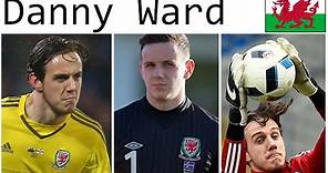 Danny Ward | Saves + Passing | Wales | EURO 2016