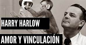 Harry Harlow Experimentos con primates sobre el apego